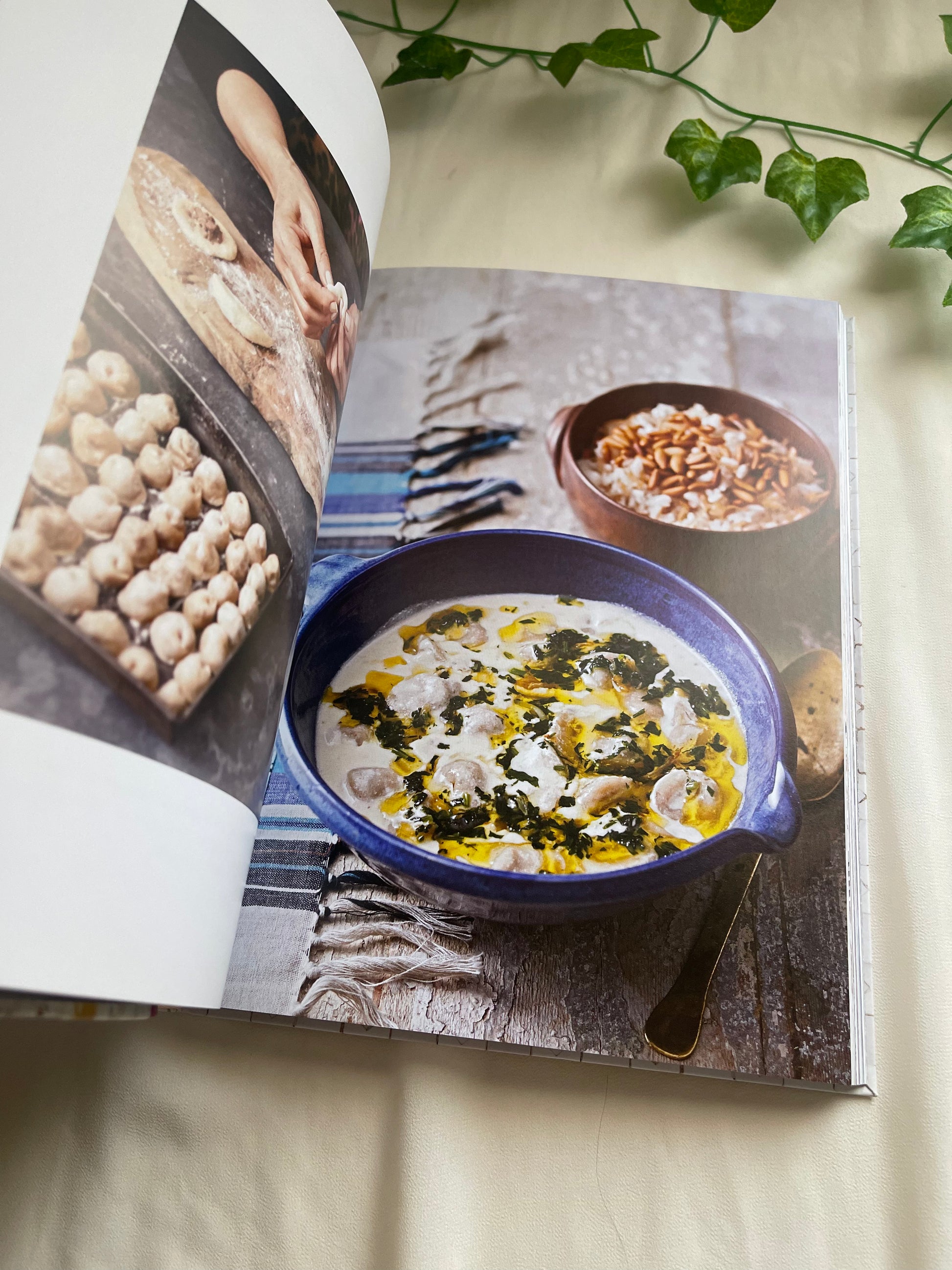 Baladi Palestine Cookbook